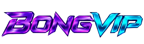 bongvipslot.net